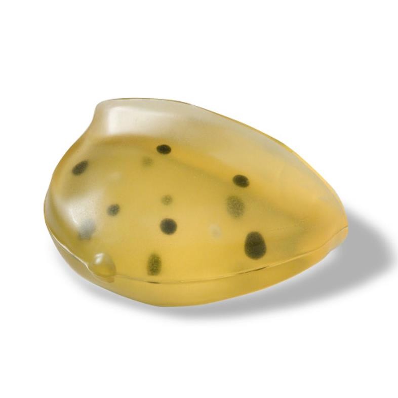 013乳腺X射线造影测试体模